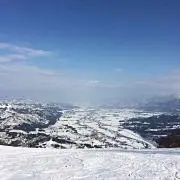 トマトの画像