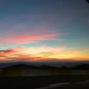 ミミックの画像