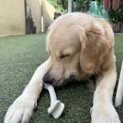 るいの画像