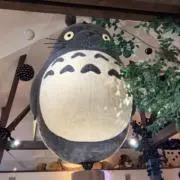みーの画像