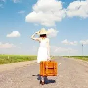 koiの画像