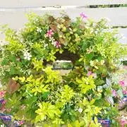 チロルの画像
