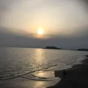 アッコの画像