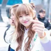 いぬ