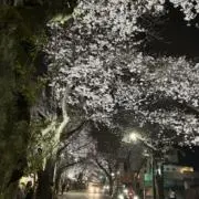 りっちゃんの画像