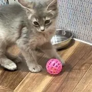 TTTの画像