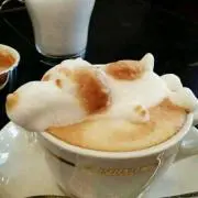 ぴー☆の画像