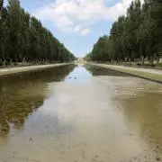 ささの画像