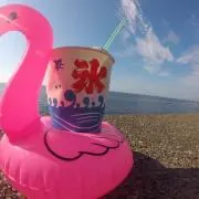 あっぴの画像