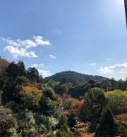 アサヒの画像