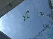 らぎまるの画像