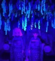 ぽて★プロフご確認お願い致します★の画像