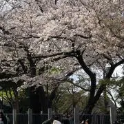 デューク更家 サポーター - メルカリ