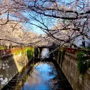 有栖川の画像