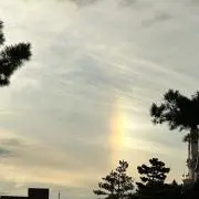 みょんの画像