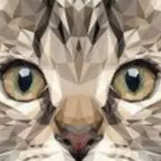 いつきの画像