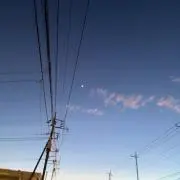 メロンパンの画像