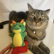 れおちんの画像