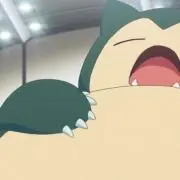 ※バラ売り不可です★☆sa Raの画像