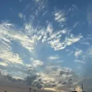 Miya(プロフ必読)