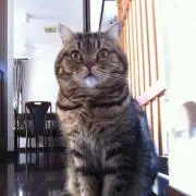 Eの画像
