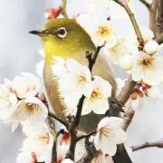 ミニミニ