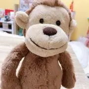 モコの画像