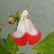 さんさん✨の画像