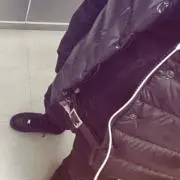たいがの画像