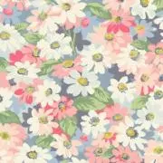 アメリアの画像