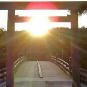 桜ひめ