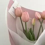 ☆きのこ☆の画像