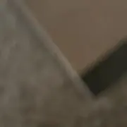 らはばんと【値下げ大歓迎！】の画像