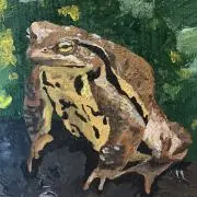 コロンビアナイトの画像