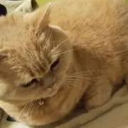 ミルク