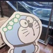 ねね⑅◡̈*の画像