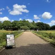 taraの画像