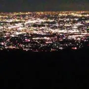 れんげの画像