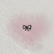 こぐまの画像