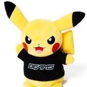 ピカの画像