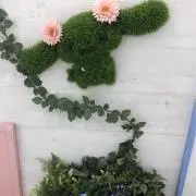 ろんの画像