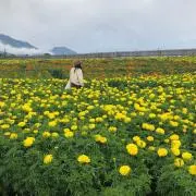 noga.の画像