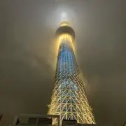 まさ！の画像