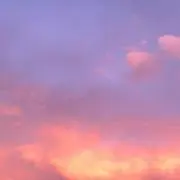 ねむの画像