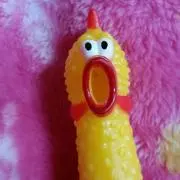 なまたまご