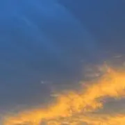 Zoraの画像