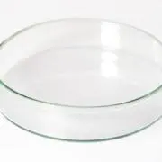 てぃーのの画像