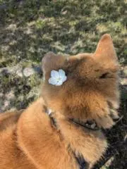 mine✿プロフ必読✿の画像
