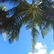リンタロー☆の画像
