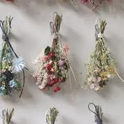 おもちの画像